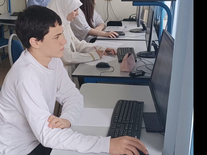 Участие в ВСОШ по химии.