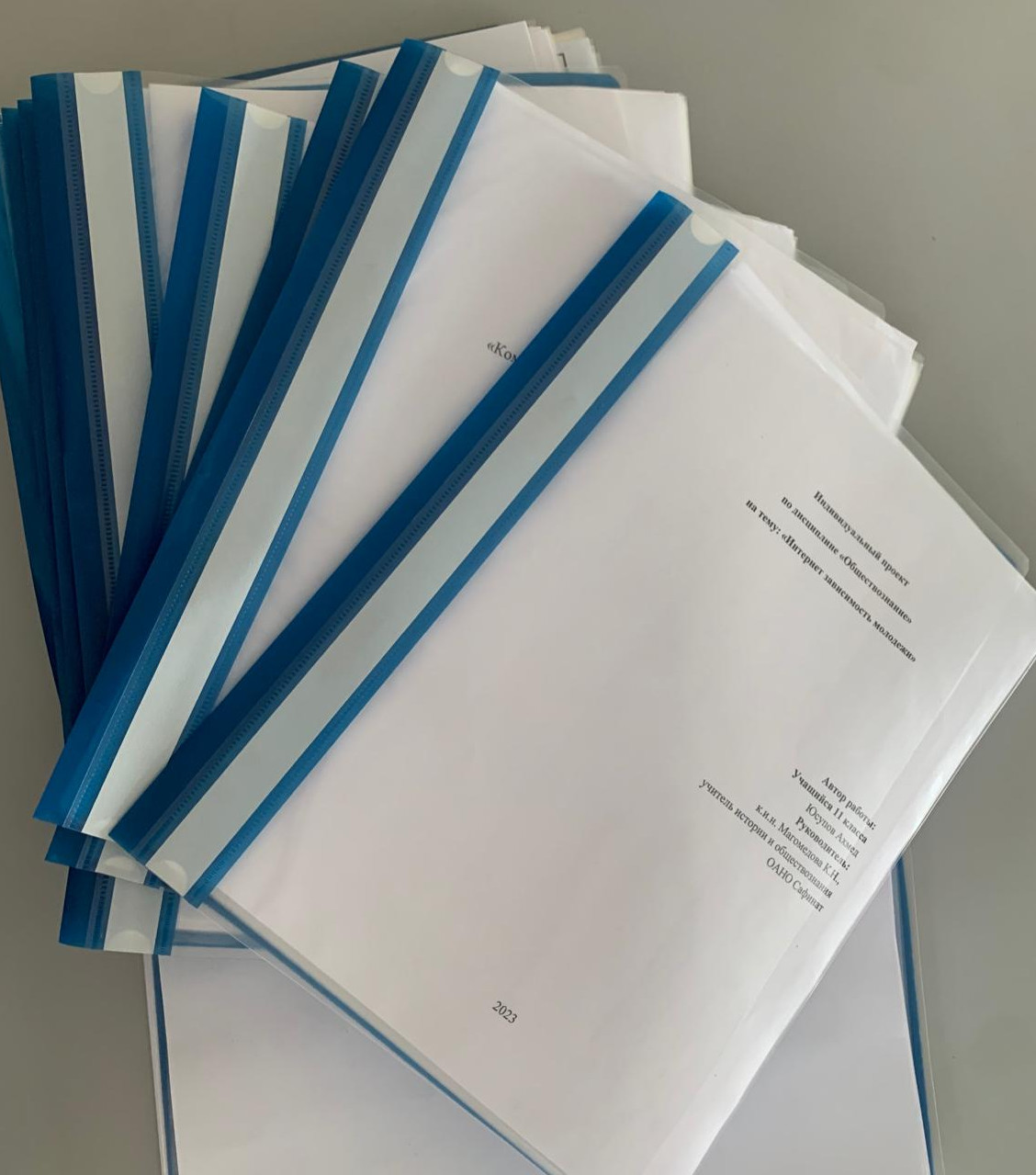 Защита индивидуальных проектов 11 класса в рамках проектно-исследовательской деятельности