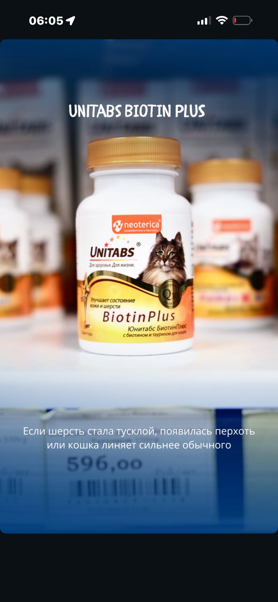 Неделя экологии.
